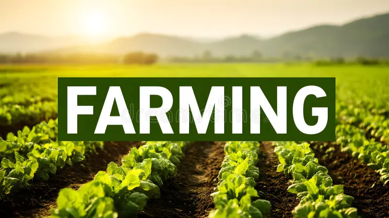 Agribusiness Investment